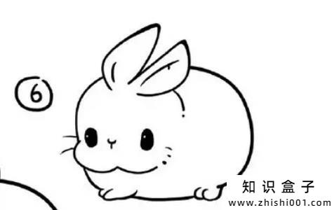 兔子怎么画简单又漂亮，教你10秒画出一只可爱的兔子